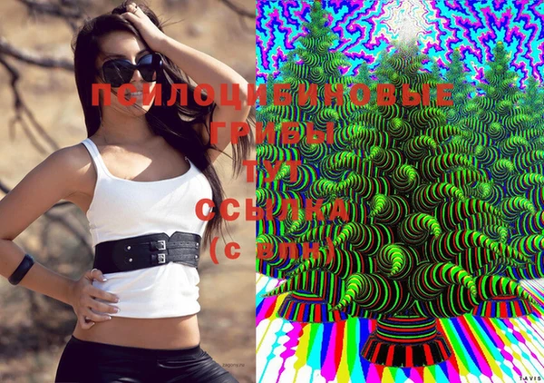 герыч Аркадак