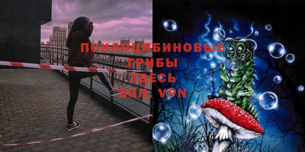 герыч Аркадак