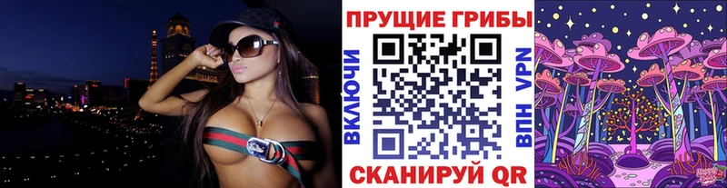 Галлюциногенные грибы Psilocybine cubensis  дарнет шоп  Новоалександровск 