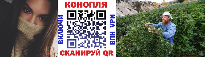Бошки Шишки THC 21% даркнет сайт Новоалександровск